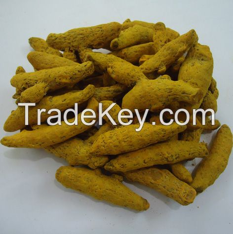 Turmeric Finger