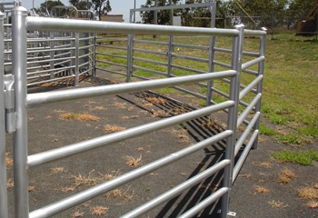 cattle panel