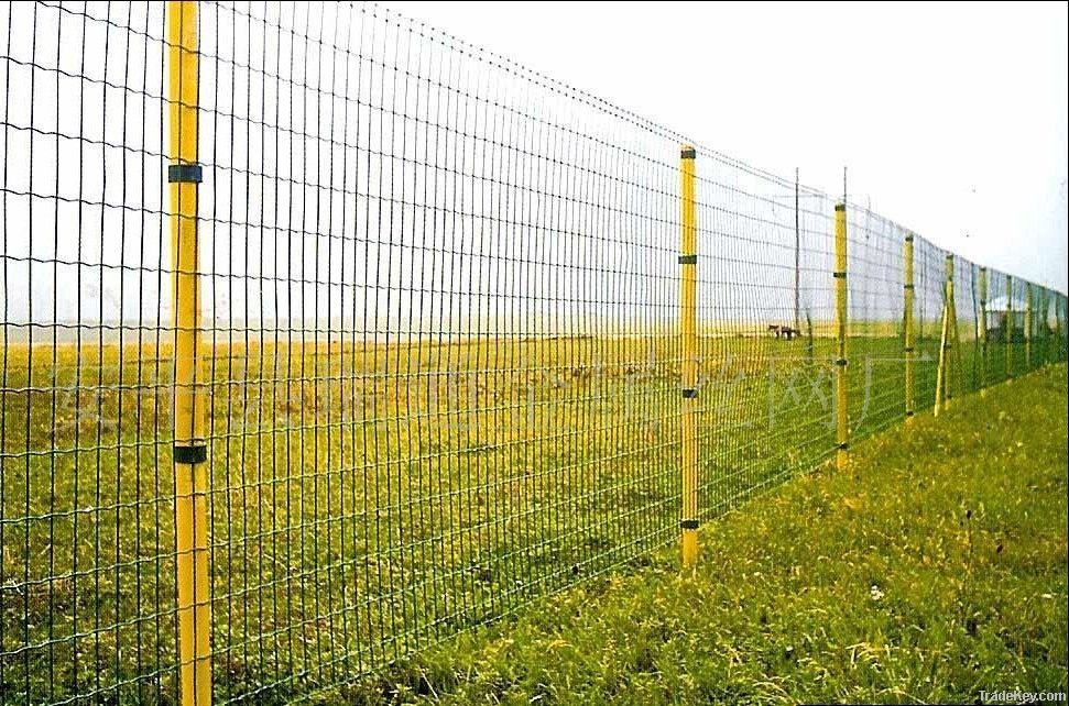 Euro fence