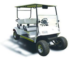 Golf Cart battery