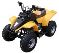 pocket bike,ATV