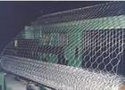 hexagonal Wire Mesh