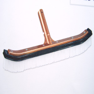 Pool Brush