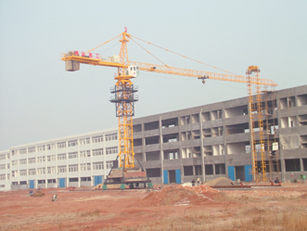 Tower cranes(self-rising, potain technology)