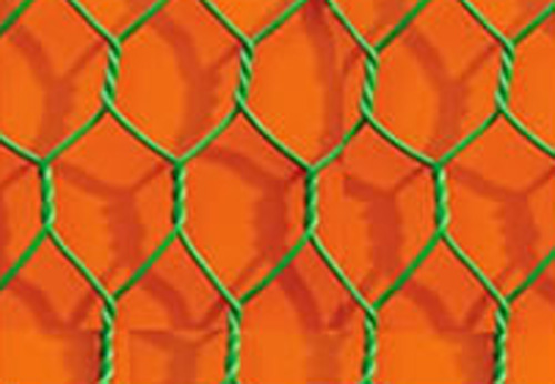 Hexagonal wire mesh