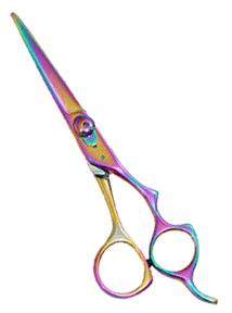 Hair Dressing Scissors.