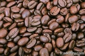 Robusta Coffee Beans