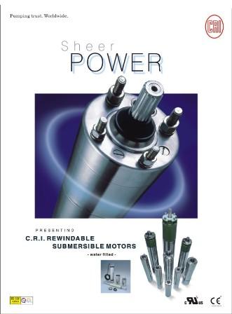 Submersible Motors