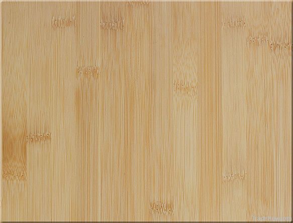 Bamboo Veneer