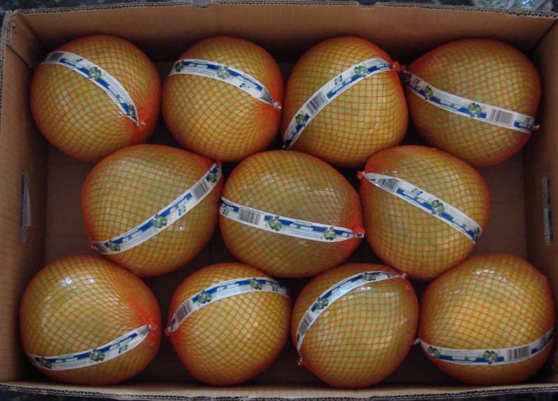 fresh fruit-honey pomelo