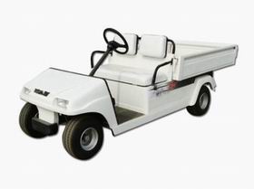 Electric Golf Carts