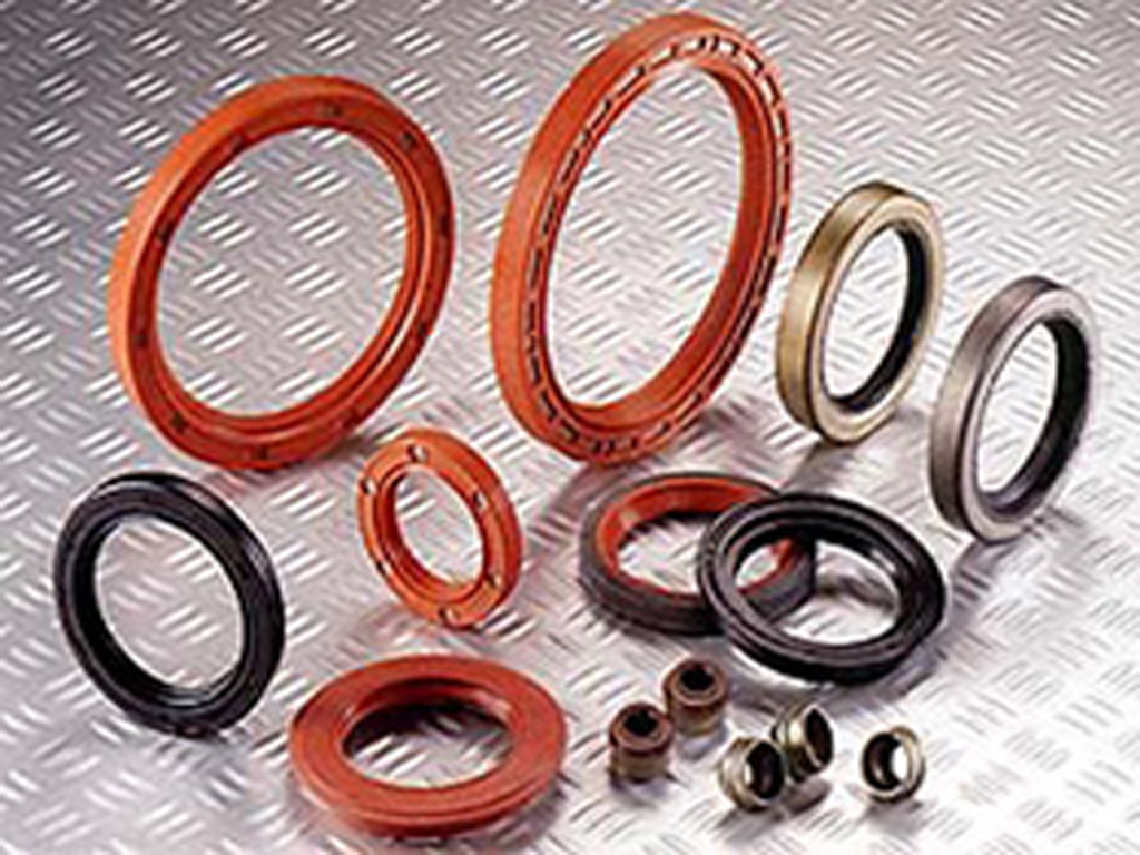 Auto Oil Seals