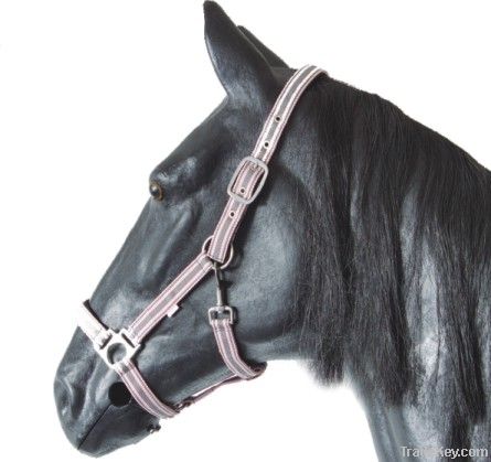 Standard Padded Halter"Double Stripe"