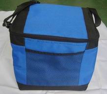 Cooler Bag