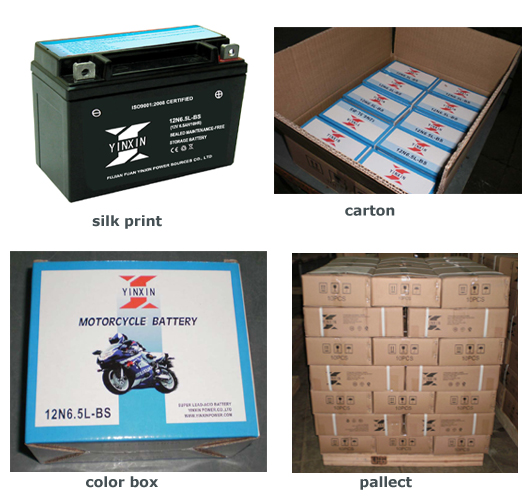 VRLA lead acid battery