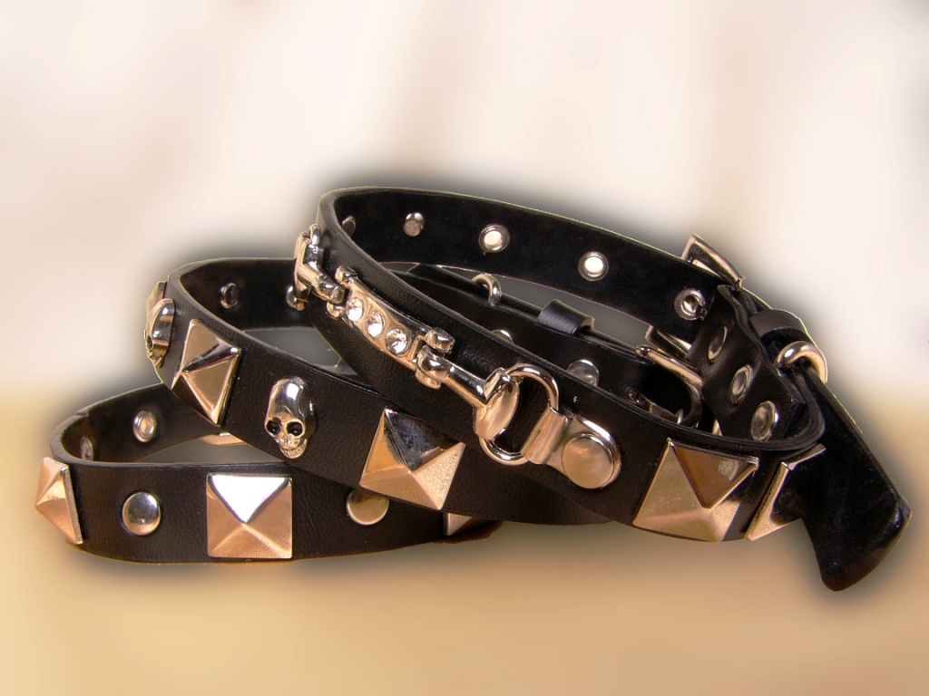 Pet Leather Collar