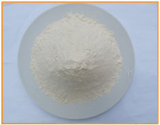 Isolated Soy Protein