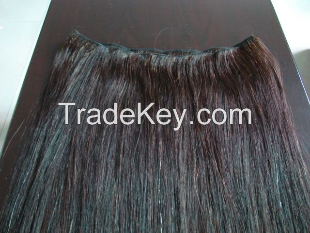 Horse Tail-Mane Hair Weft And Strip