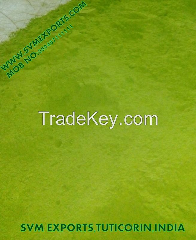 Moringa Dry Leaf Exporters