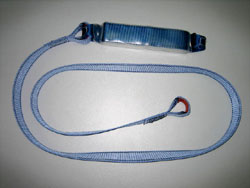 Lanyard