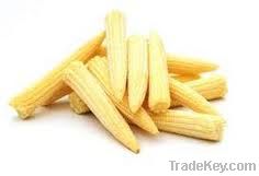 Baby Corn