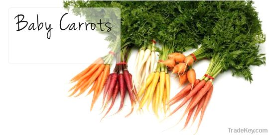 Baby Carrots