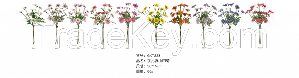 Bundled Wild Shantian Daisy