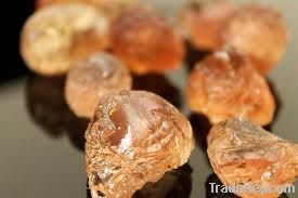 Gum Arabic