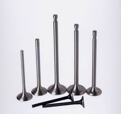 Engine Valves