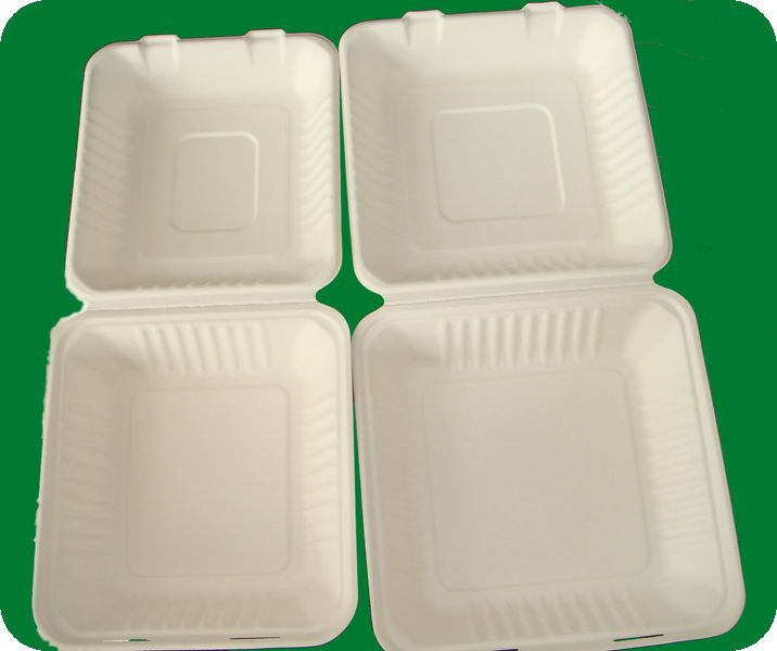 biodegradable tableware