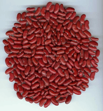 Dark red kidney beans