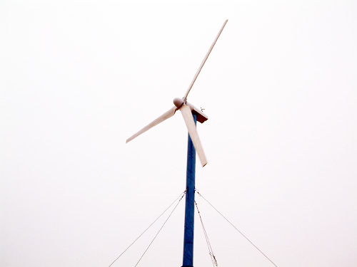 Wind power generator