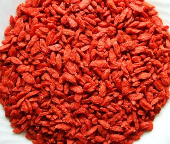 dried goji berry(Lycium fruit)