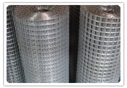 Welded Wire Mesh