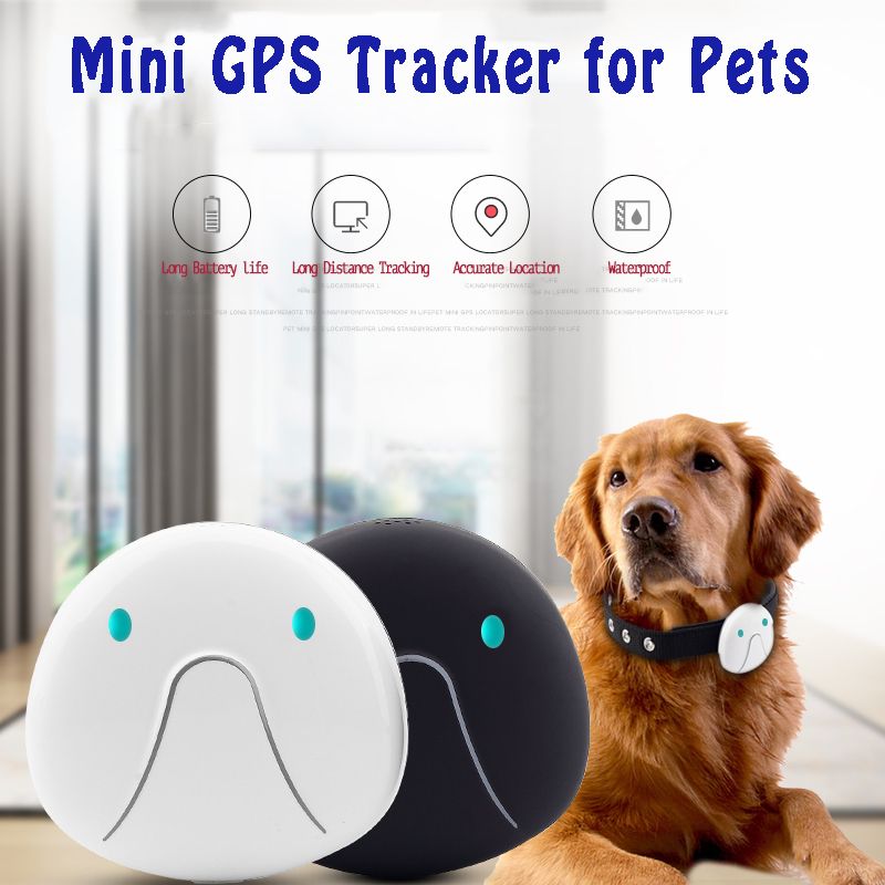 Pet/Dog GPS Tracker