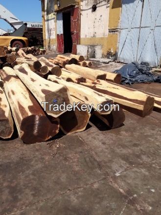 BRAZILIAN EBONY / GUAYACAN ON LOGS, LOGS ON OCTAGONAL, HEXAGONAL &amp;amp; RECTANGULAR FORMAT