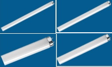 Fluorescent Lamps