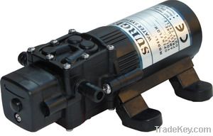 12v or 24v pump