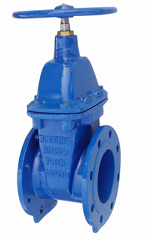 Resilient seated gate valves