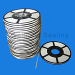 Expanded PTFE Spiral Wound Gasket Filler Material