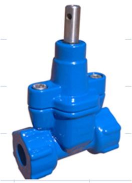 DUCTILE IRON RISING STEM GATE VALVE BOLTED BONNET