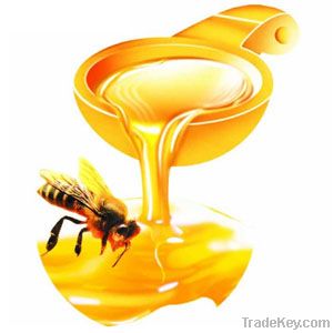 Chinese Pure Nature Bee Honey