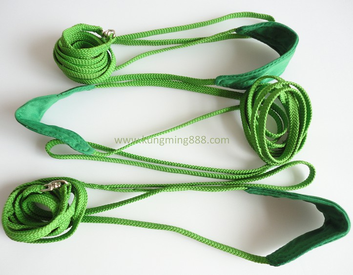 Nylon Dog Collar