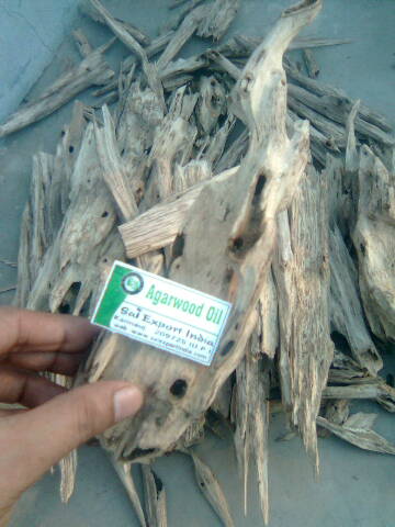 Agarwood oil/oudh/dehnel oudh/oud