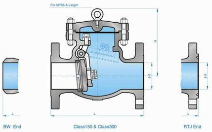 Check Valve