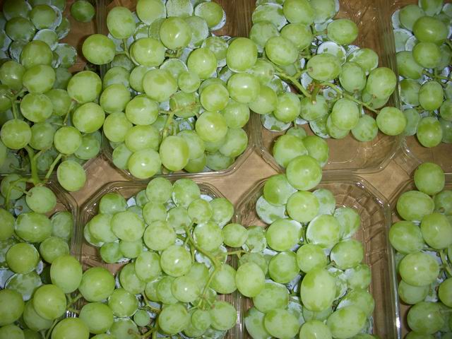 Fresh Grapes