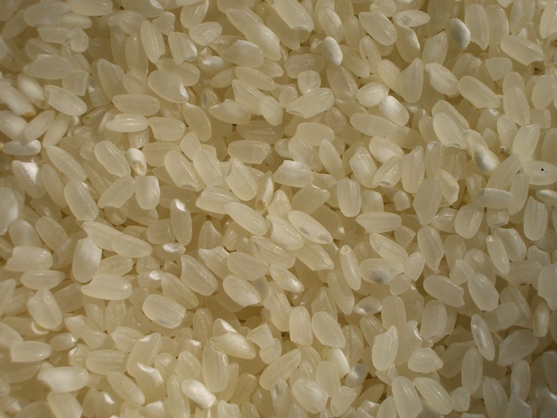 BASMATI RICE EXPORTER| KERNAL RICE WHOLESALER| WHITE RICE MANUFACTURER| LONG GRAIN TRADER| PARBOILED RICE IMPORTERS