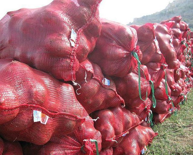 Natural Fresh Red Onions for Sale at Low Market Price