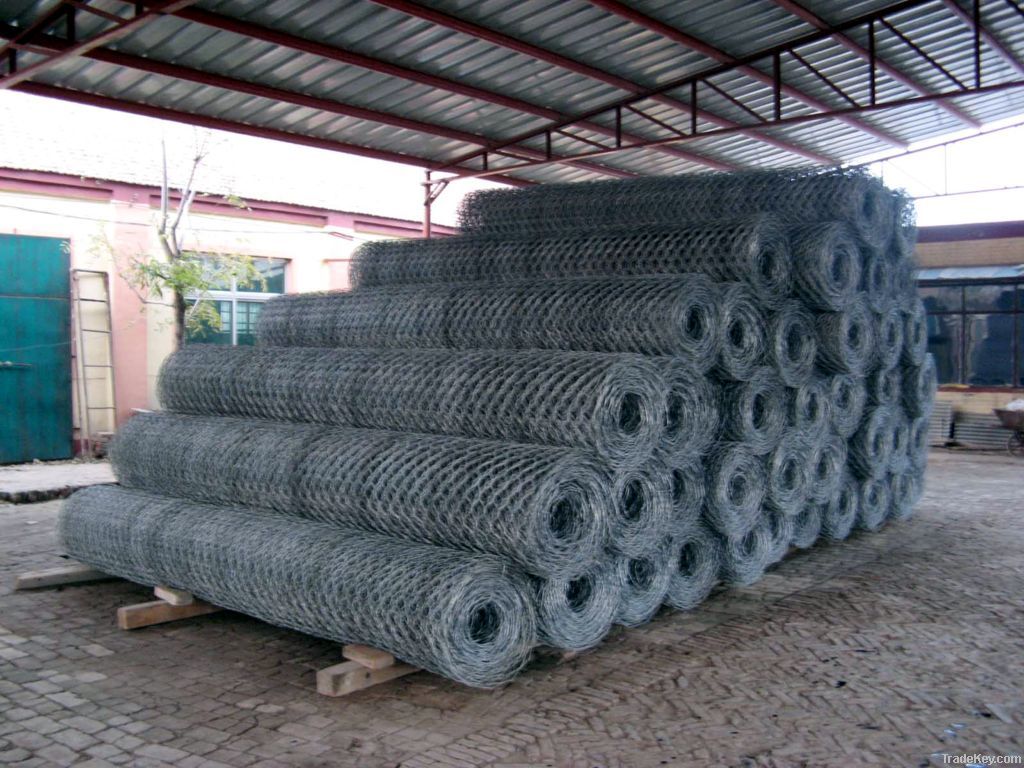 gabions mesh