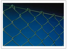 Wire Mesh